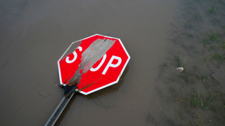 Twitch Stop Sign Stream Temporarily Stops After Address Leaks, Neighbors Receive Pizzas